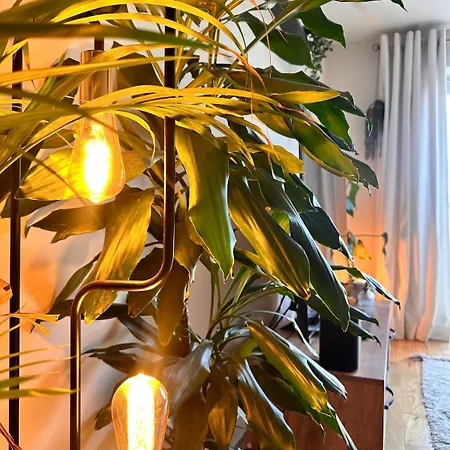 Lejlighed 2 Bed, 2 Bath In Roundhay *